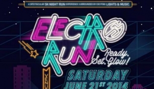 Electro Run 2014