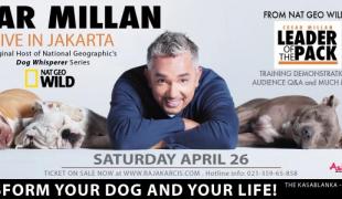 Workshop Cesar Millan Live In Jakarta 2014