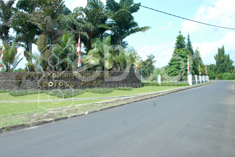 Danau Dora Wisata Edukatif  Danau Dora Wisata Edukatif