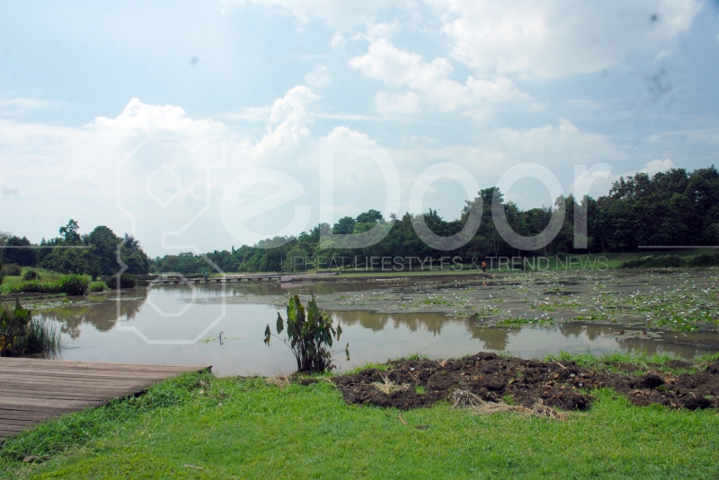 Konservasi Alam Danau Dora Konservasi Alam Danau Dora
