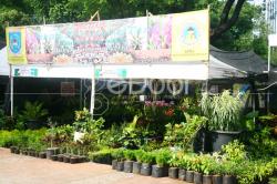 Flona 2013 Hadirkan “Kampung Hijau” Di Jakarta