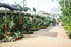 Flona 2013 Hadirkan “Kampung Hijau” Di Jakarta