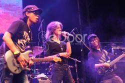Jakarta Blues Festival 2013 Hadirkan Musisi Blues Lokal dan International