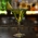 Menu Spesial Racikan Mezza Café, Bar & Lounge