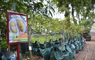 Banjir Durian Di Florina 2016