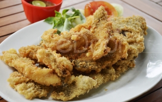 Botanical Cafe Godong Ijo