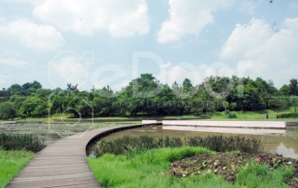 Danau Dora, Tujuan Wisata Edukatif Di Pinggiran Jakarta