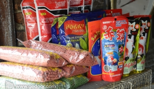 Pakan Ikan Buatan