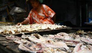 Pengrajin Tradisional Muara Angke