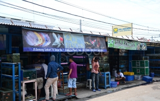 Sentra Ikan Hias Gunung Sahari 7A Timur