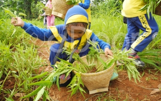 Wisata Edutainment D’Kandang Amazing Farm