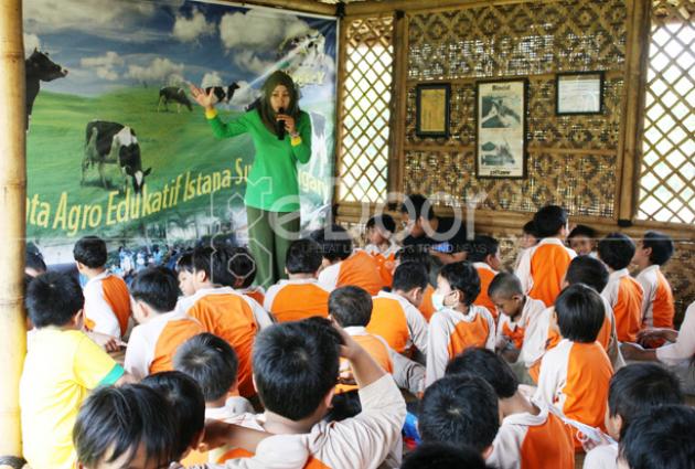 Cibugary  Wahana Edukasi Berkonsep Peternakan Sapi Perah