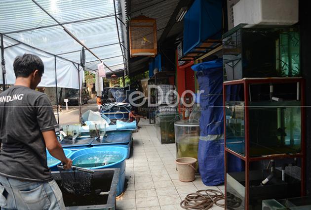 Pasar Ikan Radio Dalam Gedoor