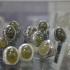 Berburu Batu Perhiasan Di Gemstone Thamrin City