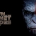 Dawn Of The Planet Of The Apes