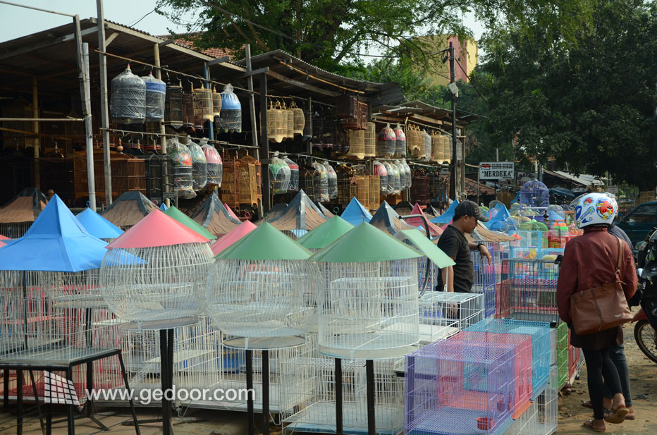 Assorted Bird Cage From Pramuka Market