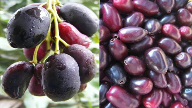 Buah-Buahan Jadul (Part I) Buah-Buahan Jadul (Part I)