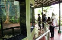 Koleksi Ikan Taman Margasatwa Ragunan