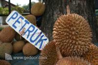 Lapak Duren Pasar Minggu