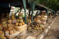 Lapak Duren Kalibata