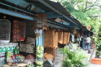 Aneka Burung di Jalan Barito