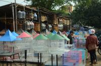 Assorted Bird Cage From Pramuka Market