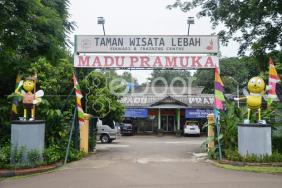 Taman Wisata Lebah Cibubur Mengenal Lebah Dan Madu Lebih Dekat